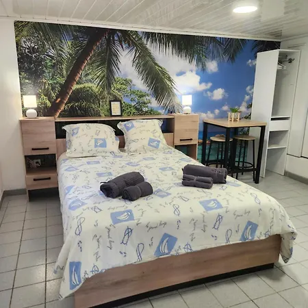 Apartment Nid Douillet Pour Amoureux Avec Jacuzzi Privatif